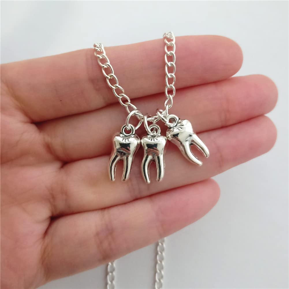 Human Molar Tooth Charm Necklace, Dentist Appreciation AETYWYEIN